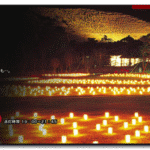 「なら燈花会」たまたま行ったら、最終日で、思っていた以上にきれいで感動しました。