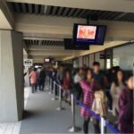 【2013年 第65回 正倉院展 】朝一番と夕方、どちらが混雑を避けれるか？同じ日に比べてみたら”夕方”がおすすめ！