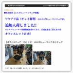 【 口コミ情報 】エルゴヒューマン （アウトレットで訳あり ちょっと傷あり ）現品限りで最大 55％オフ！