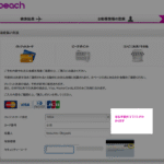 【 LCC 航空会社】peach 国内線航空券クレジットカード 決済には315円追加で必要