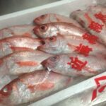 【おいしい ものレポ 2013-12-13】大人の隠れ家で舌鼓、歌う社長がいるお店、ラーメンなSinger Song iPhone 、など