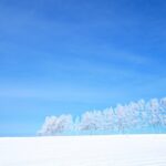 【WordPress】ブログに雪が降りました。（Jetpackプラグインが必要です）