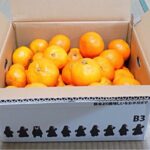 【おいしい ものレポ 2013-12-06】Evernoteのお菓子！すでに正月？こたつに”みかん”！所持金1000円でもラーメンが食べたい。など