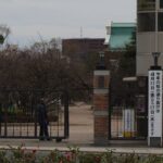 【大阪 桜】造幣局 桜の通り抜けは4月11日から17日まで