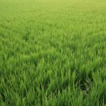 食事を記録し、運動から正しい食欲の感覚を取り戻す【BookReview】あなたは半年前に食べたものでできている 村上彩さん