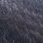 アメブロのバックアップと運用で注意していること