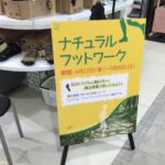 5本指シューズ（ビブラムファイブフィンガーズ）を大阪・梅田で購入 実は取り扱いは東急ハンズ12階の一店舗のみ、阪急百貨店8階イングスは取り扱い終了