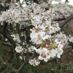 「書評のおしごと」著者 橋爪大三郎さん 書く時に大切にする1つポイントを知れる一冊