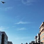 『仕事に追われない仕事術 マニャーナの法則 完全版』本当の仕事をしたいあなたが読むべき一冊