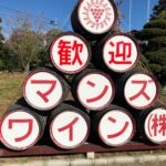 溶岩焼きバーベキューでランチ 万寿園 マンズワイン（山梨県甲州市）ワイントンの豚肉が美味しかった