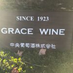 グレースワイン（中央葡萄酒株式会社）山梨県甲州市勝沼 ワインツアーで訪問 素敵なテイスティングエリアと階段からの葡萄のある景色が素敵