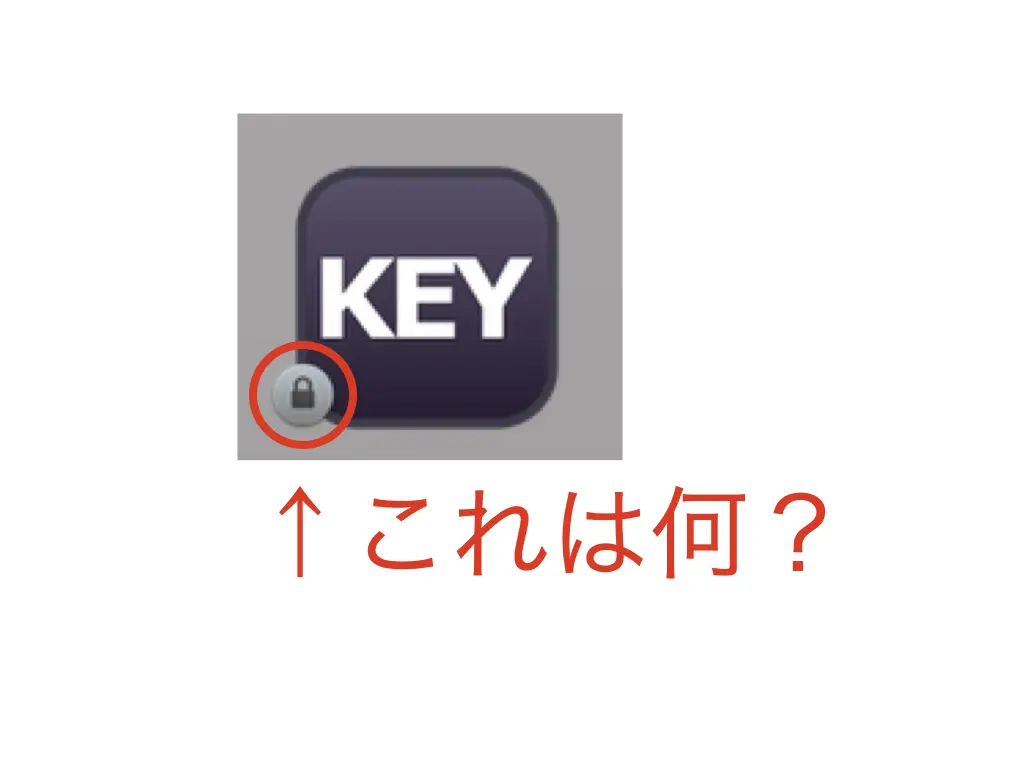 Karabiner Element Big Sur アイコンに南京錠マークが表示 大丈夫なの ものくろぼっくす