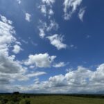 Arkhe（WordPress テーマ）ページテンプレートを追加する方法