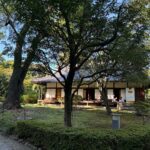TOHAKU 茶館（東京国立博物館 内 -上野-）でゆったりした時間を楽しむ