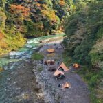 画期的dメソッドを即興でやってみたら、すごく良かった 2024-11-21