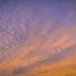 WixのドメインをXserverへ移管