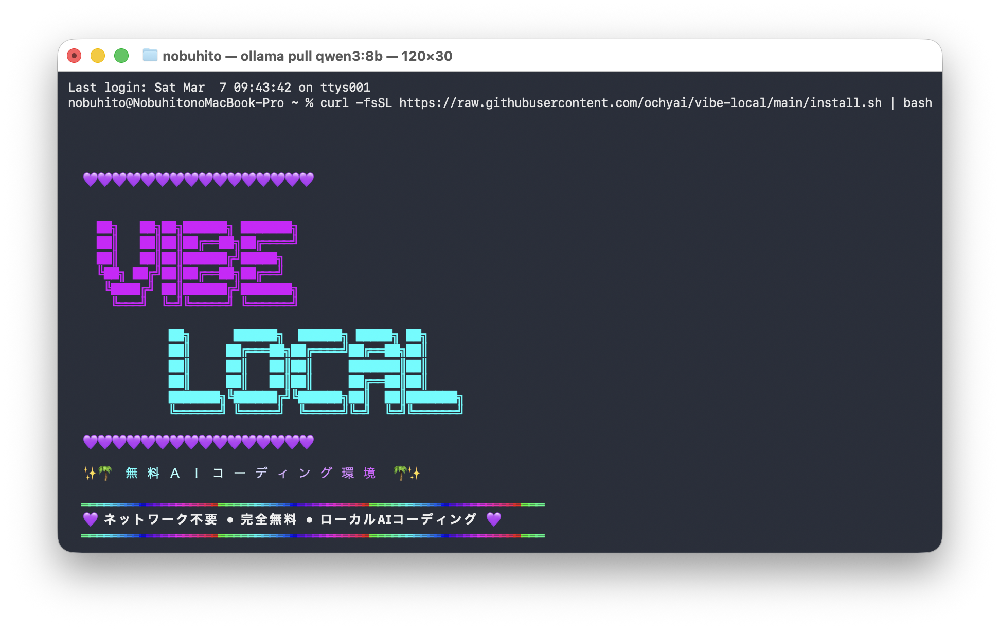 vibe-local インストール開始画面