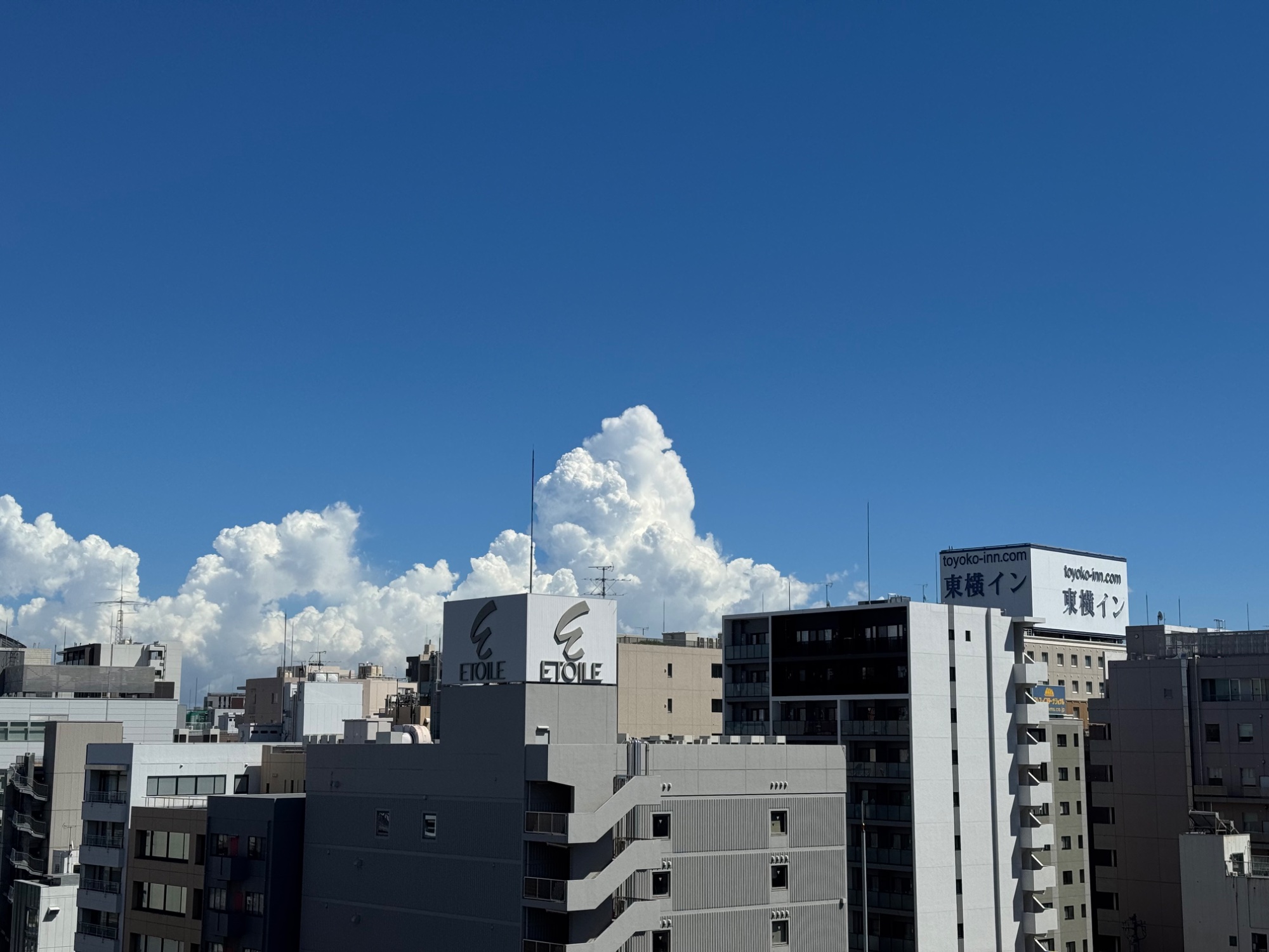 お土産に買って帰った緑川