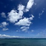 Claude Code から【WordPress】を自在に操作、AIが作ったサイトをブロックエディタのブロックにビルドすると自由度が跳ね上がる
