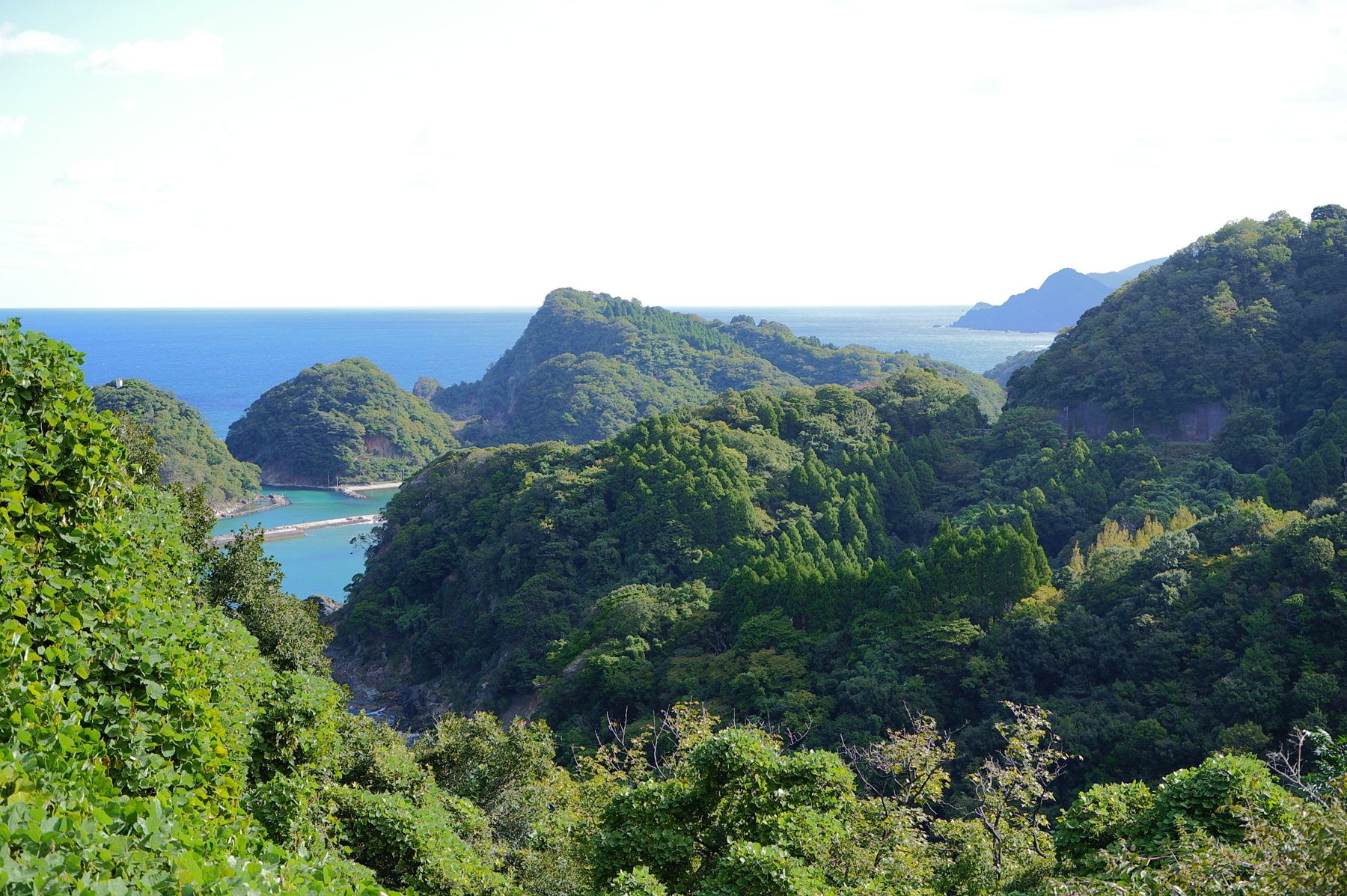 緑の岬と、入り江