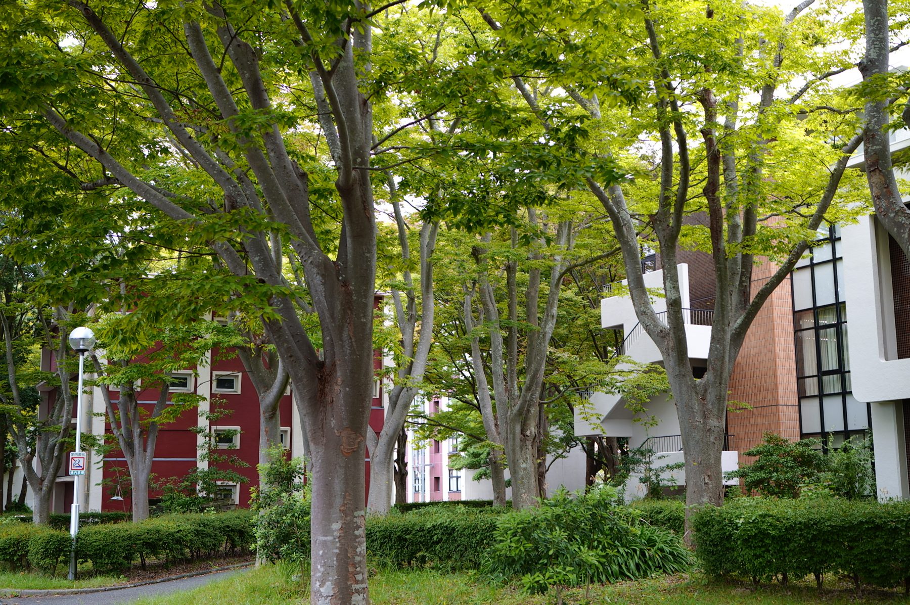 鳥取大学のキャンパス