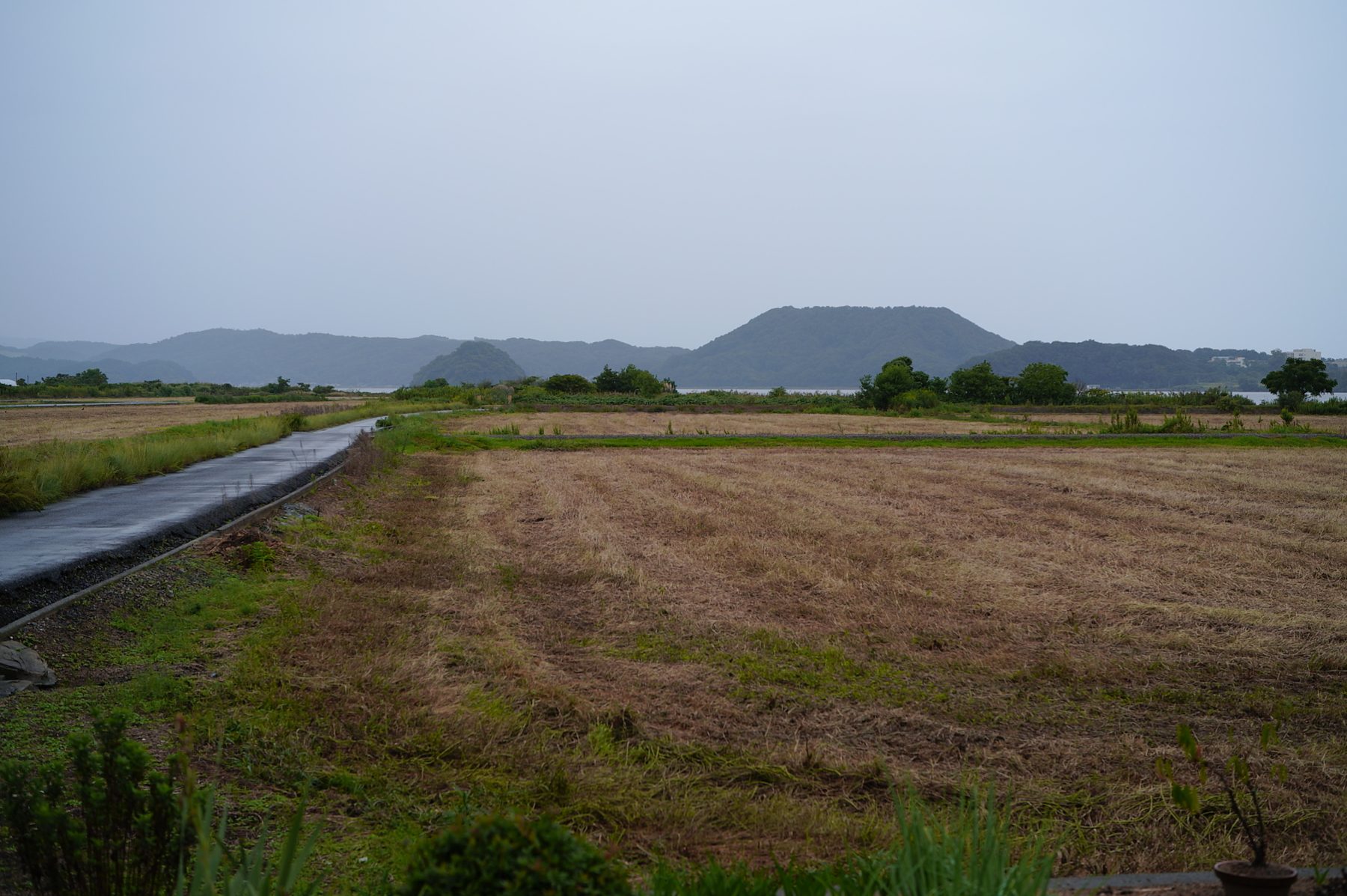 田んぼと、遠くの山