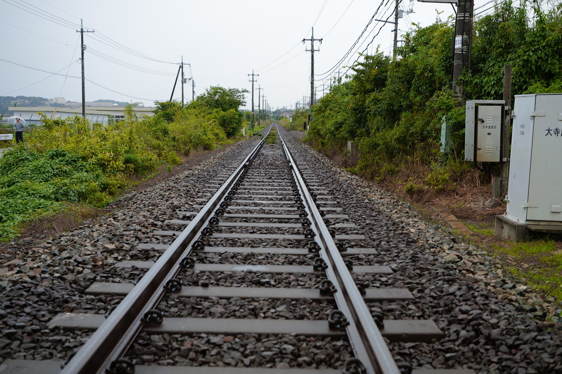 線路と、夏草